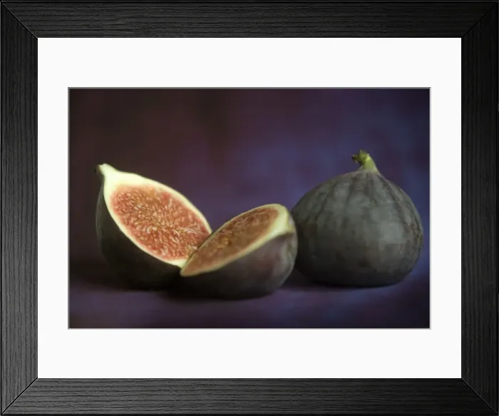 Framed Print : Fig - in studio Framed Print : Fig - in studio