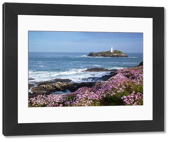 Godrevy Island and Lighthouse - from Gwithian - thrift - Cornwall - UK