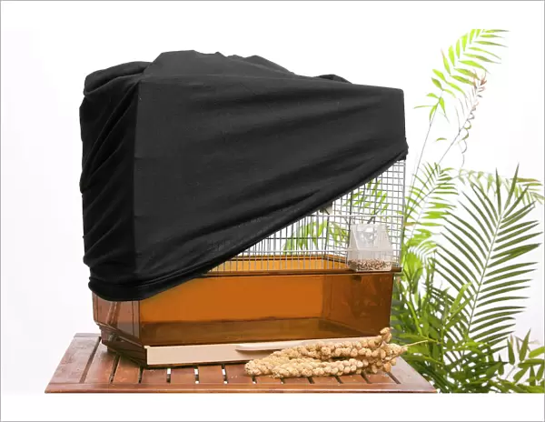 Bird cage - with protective  /  night cover