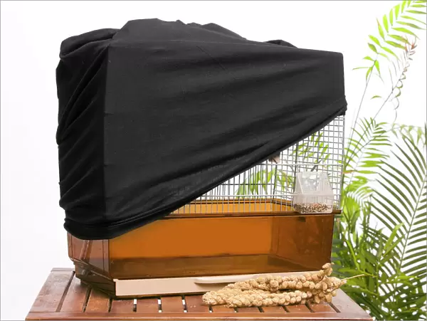 Bird cage - with protective  /  night cover
