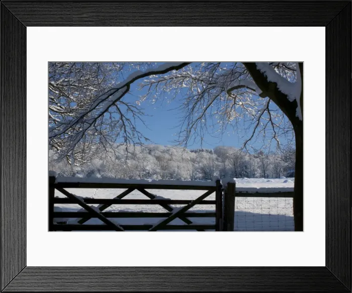 Framed Print : View of snowy hillside over 5 bar gate framed by branches and with blue sky Cotswolds UK Framed Print : View of snowy hillside over 5 bar gate framed by branches and with blue sky Cotswolds UK