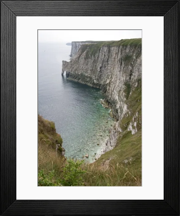 Framed Print : Nesting gannets and other seabirds Bempton Cliffs RSPB Nature Reserve Flamborough Head East Riding of Yorkshire UK Framed Print : Nesting gannets and other seabirds Bempton Cliffs RSPB Nature Reserve Flamborough Head East Riding of Yorkshire UK