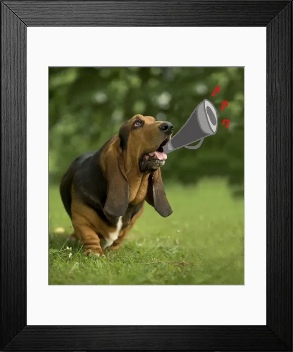 Framed Print : Dog - Bassett Hound playing trumpet Framed Print : Dog - Bassett Hound playing trumpet