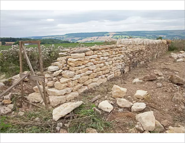 Restoring damaged Cotswold stone wall - near Winchcombe - Gloucestershire - UK