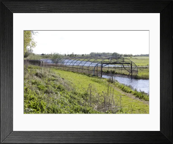 Framed Print : Duck Decoy - Wildfowl & Wetlands Trust - Welney - Norfolk - UK Framed Print : Duck Decoy - Wildfowl & Wetlands Trust - Welney - Norfolk - UK