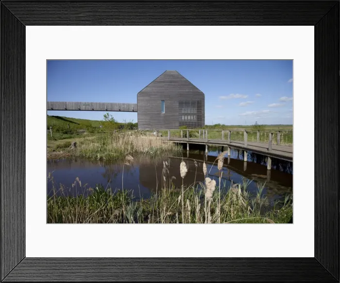 Framed Print : Wildfowl & Wetlands Trust Welney Norfolk Framed Print : Wildfowl & Wetlands Trust Welney Norfolk