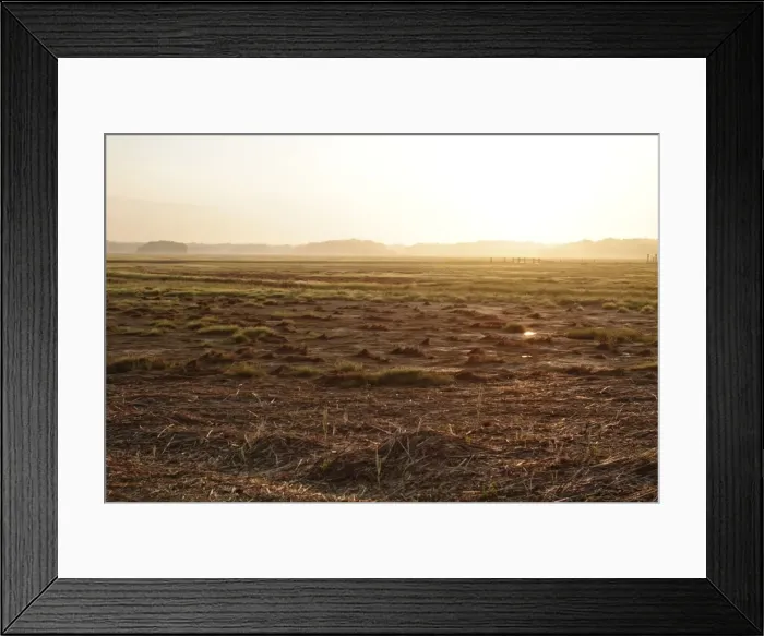 Framed Print : Saltmarsh at dawn - Madison - Connecitut - New England - USA Framed Print : Saltmarsh at dawn - Madison - Connecitut - New England - USA