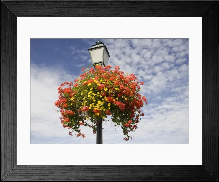 Framed Print : Floral display on French lampost aingst blue sky Brittany France Framed Print : Floral display on French lampost aingst blue sky Brittany France