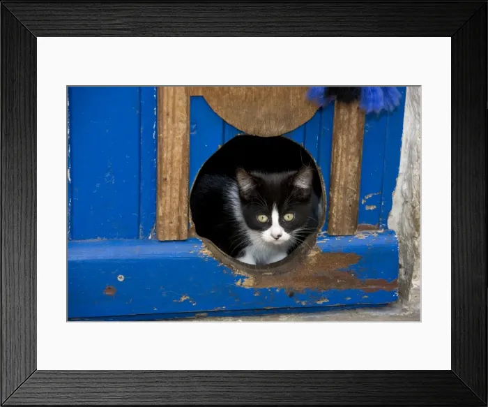 Framed Print : Cat - peeking through hole in door Framed Print : Cat - peeking through hole in door