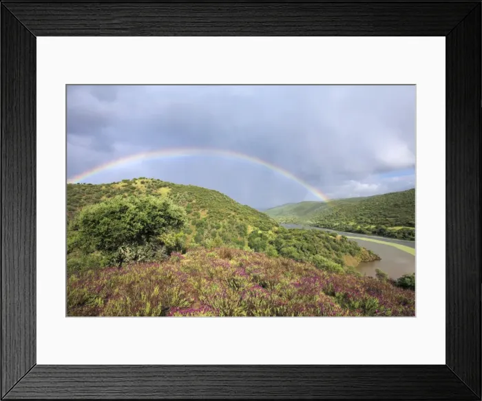 Framed Print : Rainbow - over the River Tejo in spring, Tejo National Park, Portugal