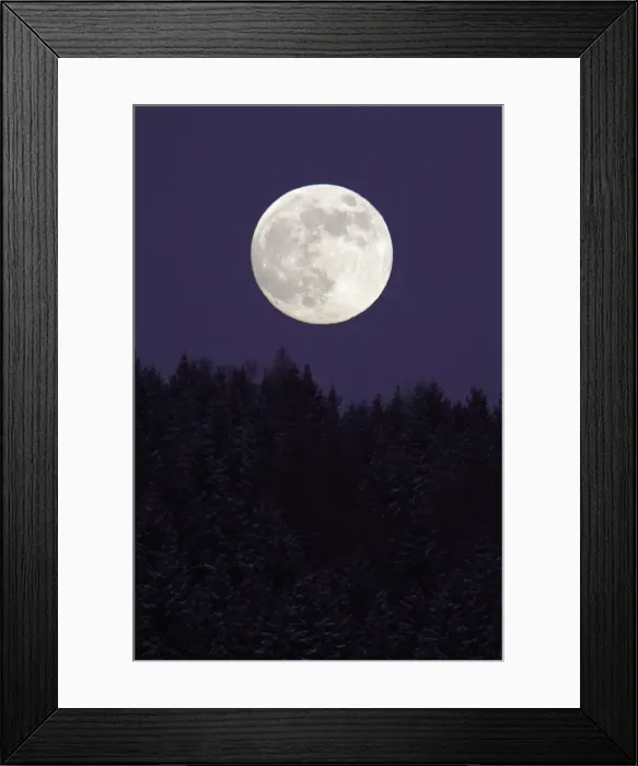 Framed Print : Full Moon - rising above forest in winter, Bramwald, Lower Saxony, Germany