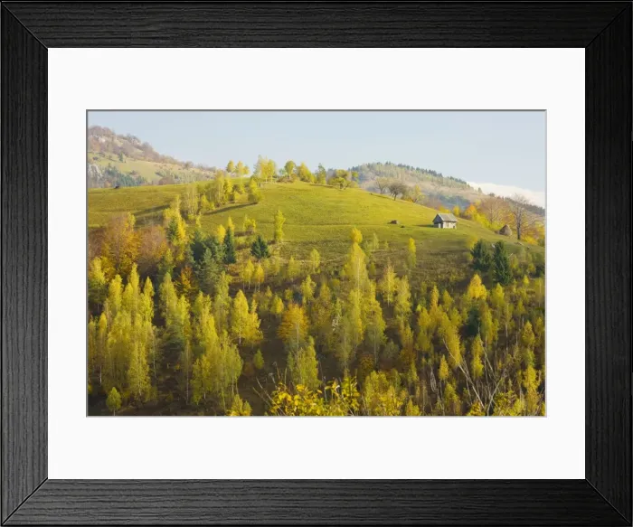 Framed Print : Beautiful pastoral montane landscape, with traditional agriculture in Piatra Criaulu Mountains, autumn, Romania Framed Print : Beautiful pastoral montane landscape, with traditional agriculture in Piatra Criaulu Mountains, autumn, Romania