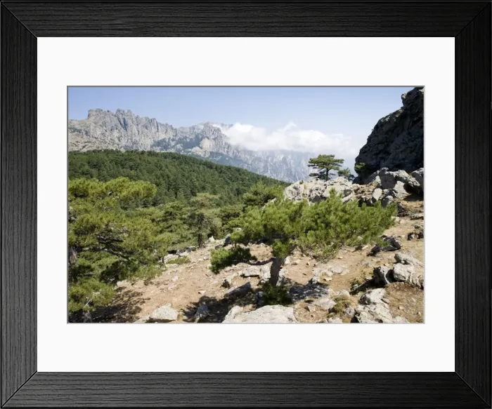Framed Print : Bavella Needles and forest - South Corsica Framed Print : Bavella Needles and forest - South Corsica