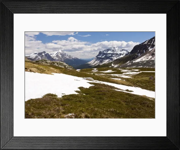 Framed Print : High tundra below Helen Lake, in the Banff National Park, Rockies, Canada Framed Print : High tundra below Helen Lake, in the Banff National Park, Rockies, Canada