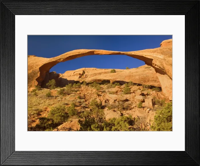 Framed Print : Landscape Arch - sandstone spanning rocky landscape - Devils Garden, Arches National Park, Utah, USA Framed Print : Landscape Arch - sandstone spanning rocky landscape - Devils Garden, Arches National Park, Utah, USA