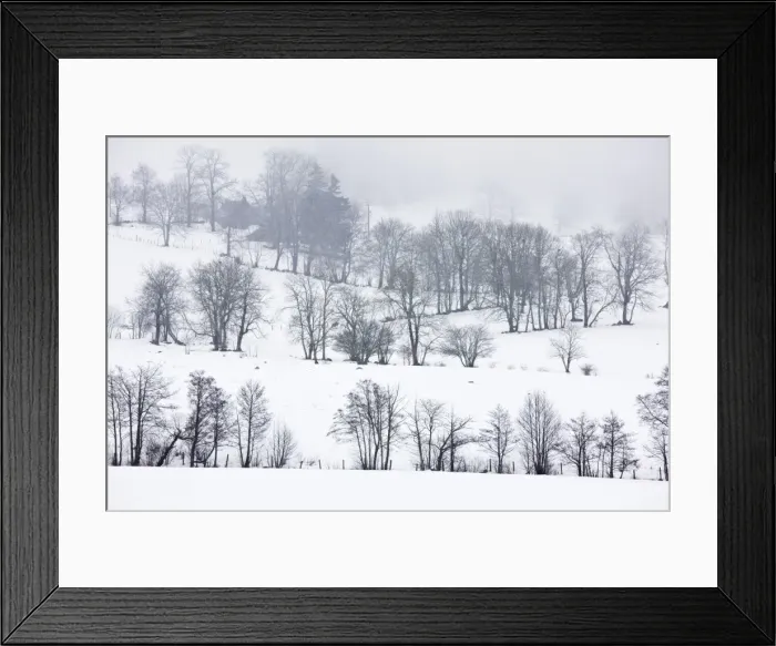 Framed Print : Field boundaries with trees in midwinter snow, near Le Mont-Dore in the Volcans d'Auvergne Regional Natural Park, Massif Central, France Framed Print : Field boundaries with trees in midwinter snow, near Le Mont-Dore in the Volcans d'Auvergne Regional Natural Park, Massif Central, France