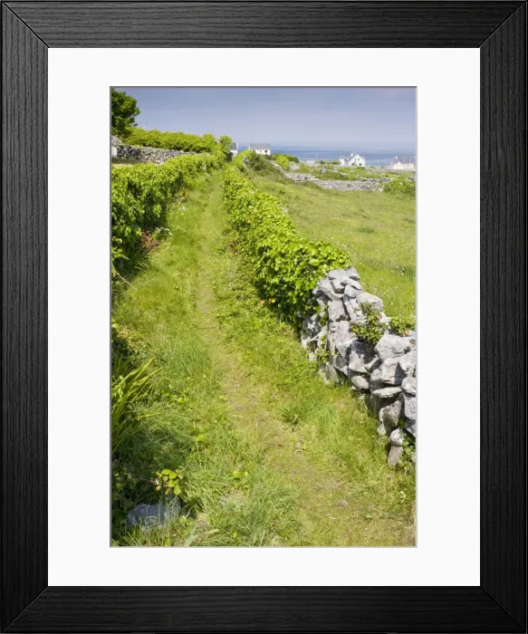 Framed Print : Old pathway through small limestone-walled old fields on Inisheer the Burren, western Eire Framed Print : Old pathway through small limestone-walled old fields on Inisheer the Burren, western Eire