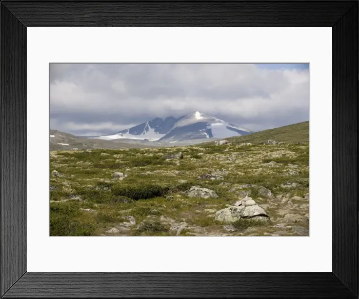 Framed Print : High tundra and mountains in the Dovrefjell National Park, Norway Framed Print : High tundra and mountains in the Dovrefjell National Park, Norway