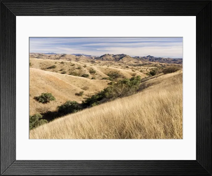 Framed Print : The vast savannah grasslands of south-east Arizona, near Patagonia, with the Patagonia Mountains beyond, in winter. Arizona, USA Framed Print : The vast savannah grasslands of south-east Arizona, near Patagonia, with the Patagonia Mountains beyond, in winter. Arizona, USA