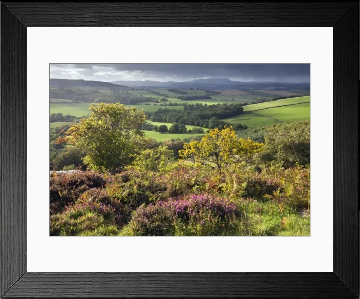 Framed Print : Corby Crags - view from crags in direction of Cheviot Hills - autumn - Northumberland National Park - England Framed Print : Corby Crags - view from crags in direction of Cheviot Hills - autumn - Northumberland National Park - England