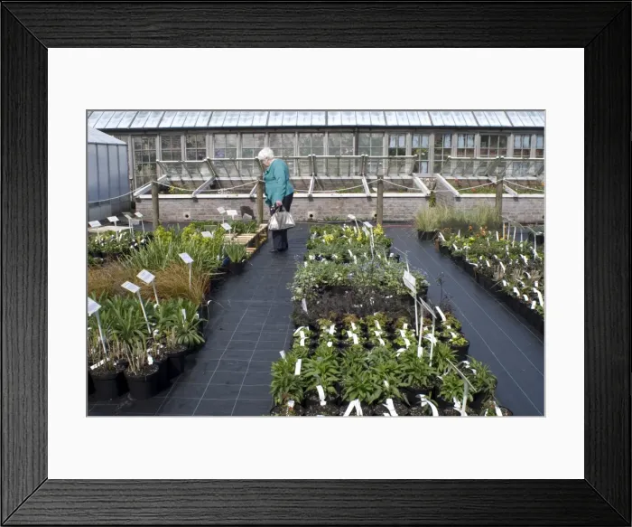 Framed Print : Garden Centre Framed Print : Garden Centre