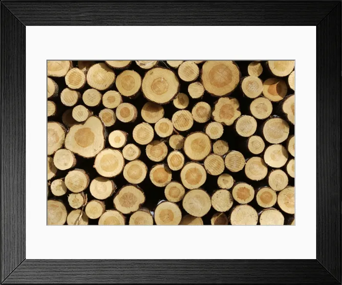 Framed Print : Finland - cut ends of tree trunks Framed Print : Finland - cut ends of tree trunks