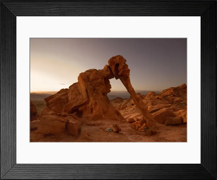 Framed Print : Elephant Rock rock formation - sunrise - Valley of Fire State Park - Nevada - USA Framed Print : Elephant Rock rock formation - sunrise - Valley of Fire State Park - Nevada - USA