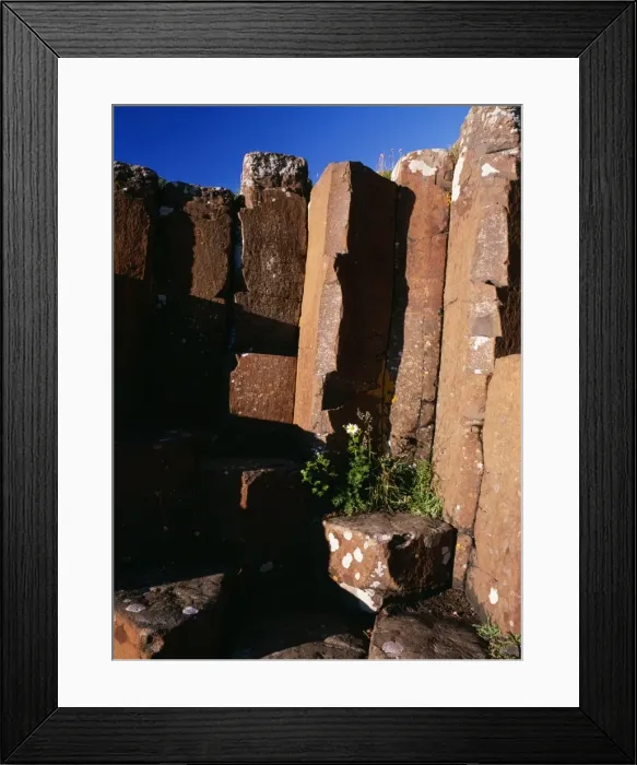 Framed Print : Northern Ireland The Giant's causeway. Basalt columns, World Heritage Site, Antrim, Northern Ireland Framed Print : Northern Ireland The Giant's causeway. Basalt columns, World Heritage Site, Antrim, Northern Ireland