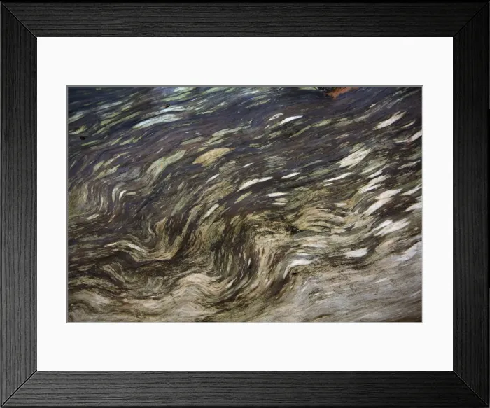 Framed Print : Pinsapar Fir / Bark - ancient weathered stem, Grazalema National Park, Andalucia, Spain Framed Print : Pinsapar Fir / Bark - ancient weathered stem, Grazalema National Park, Andalucia, Spain