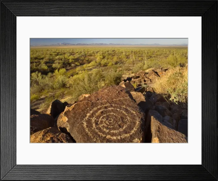 Framed Print : Petroglyphs in desert - ancient Petroglyphs and sonora desert with Saguaro Cacti and other sonoran desert plants - Sagurao National Park, Arizona, USA Framed Print : Petroglyphs in desert - ancient Petroglyphs and sonora desert with Saguaro Cacti and other sonoran desert plants - Sagurao National Park, Arizona, USA