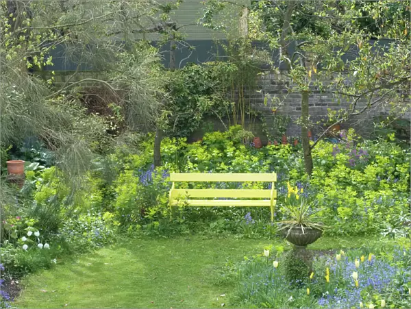 Garden Flowers including Smyrnium perfoliatum behind bench - Spring