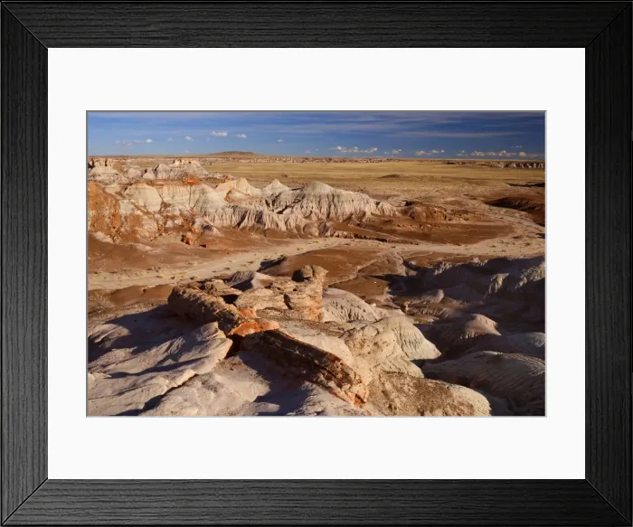 Framed Print : Blue Mesa Badlands - eroded clay formations called Badlands - petrified wood is strewn loosely around - Petrified Forest National Park - Arizona - USA Framed Print : Blue Mesa Badlands - eroded clay formations called Badlands - petrified wood is strewn loosely around - Petrified Forest National Park - Arizona - USA
