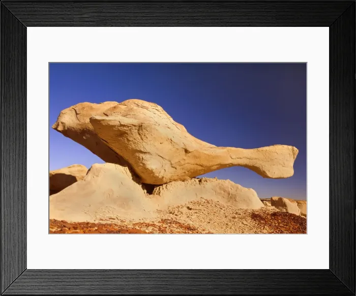Framed Print : Flying Turtle - wonderful, whimsical eroded clay sculpture in the shape of a flying turtle, located amidst badlands - Bisti Badlands Wilderness Area, New Mexico, USA Framed Print : Flying Turtle - wonderful, whimsical eroded clay sculpture in the shape of a flying turtle, located amidst badlands - Bisti Badlands Wilderness Area, New Mexico, USA