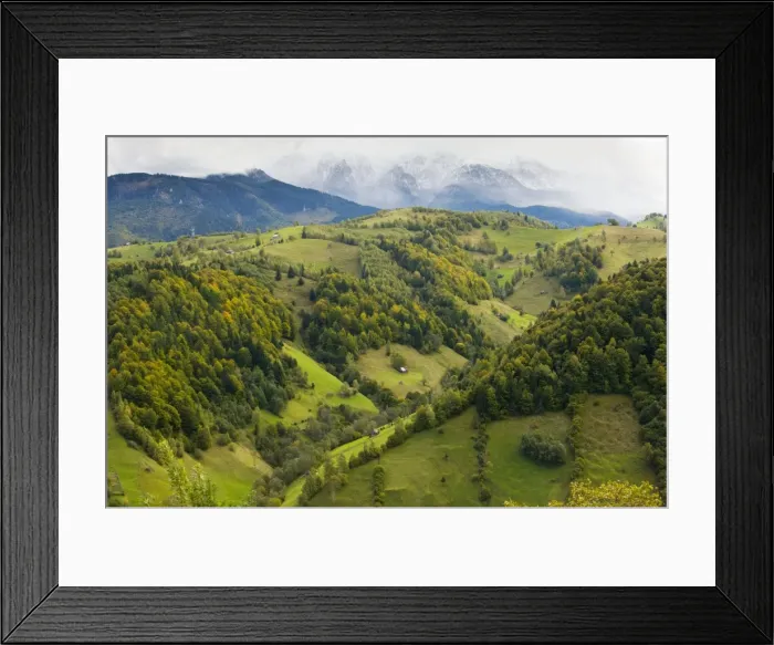 Framed Print : The Leaota Mountains (part of the southern Carpathians) south of Bran with the first snow of autumn. Romania Framed Print : The Leaota Mountains (part of the southern Carpathians) south of Bran with the first snow of autumn. Romania
