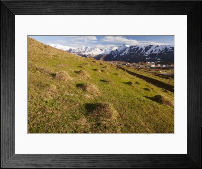 Framed Print : Anthills in old alpine pasture near Gudauri, in the Great Caucasus, Georgia Framed Print : Anthills in old alpine pasture near Gudauri, in the Great Caucasus, Georgia
