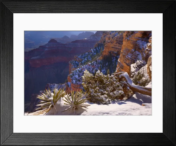 Framed Print : Grand Canyon - panoramic view from the Rim Trail into the Grand Canyon - sunrise - Grand Canyon National Park - South Rim - Arizona - USA Framed Print : Grand Canyon - panoramic view from the Rim Trail into the Grand Canyon - sunrise - Grand Canyon National Park - South Rim - Arizona - USA
