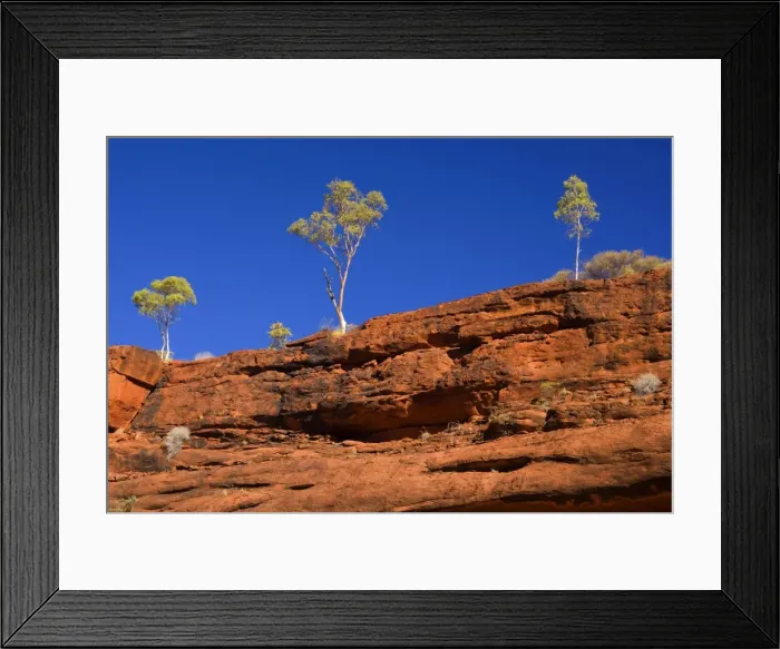 Framed Print : Palm Valley Rim - rim of Finke Gorge decorated with small gum trees along the edge. The bright green of the trees is constrasting nicely with the gorge's red cliffs and deep blue sky - Palm Valley, Finke Gorge National Park, Northern Territory Framed Print : Palm Valley Rim - rim of Finke Gorge decorated with small gum trees along the edge. The bright green of the trees is constrasting nicely with the gorge's red cliffs and deep blue sky - Palm Valley, Finke Gorge National Park, Northern Territory