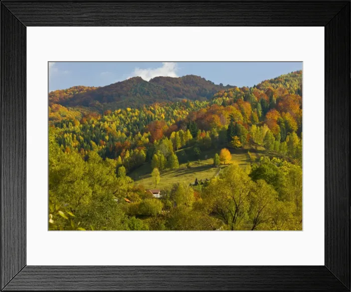 Framed Print : Autumn in the Zsil valley, above Petrosani, Retezat Mountains, South Carpathians, Romania Framed Print : Autumn in the Zsil valley, above Petrosani, Retezat Mountains, South Carpathians, Romania