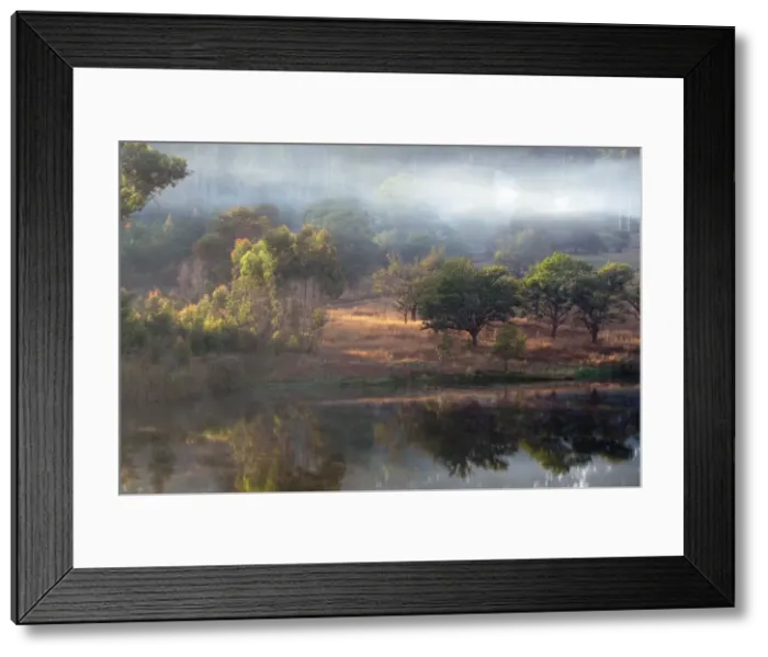 Framed Print : Nyanga Forest and pool - Zimbabwe Framed Print : Nyanga Forest and pool - Zimbabwe