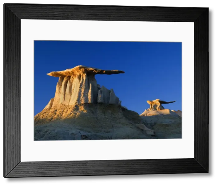 Framed Print : The Wings - eroded clay sculptures with rocks balanced on its tops that make it look like wings - Bisti Badlands Wilderness Area, New Mexico, USA Framed Print : The Wings - eroded clay sculptures with rocks balanced on its tops that make it look like wings - Bisti Badlands Wilderness Area, New Mexico, USA
