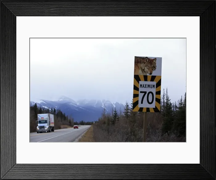 Framed Print : Sign - on road warning of Wolves crossing Rocky mountains - Jasper national park - Alberta - Canada Framed Print : Sign - on road warning of Wolves crossing Rocky mountains - Jasper national park - Alberta - Canada