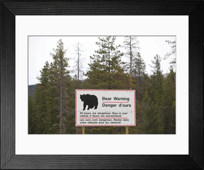 Framed Print : Sign - warning to stay in your car if Bears are encountered. Rocky mountains - Jasper national park - Alberta - Canada Framed Print : Sign - warning to stay in your car if Bears are encountered. Rocky mountains - Jasper national park - Alberta - Canada