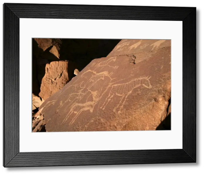 Framed Print : Rock Engravings. Twyfelfontein. Namibia Betweeen -5600 BC et _2500 BC