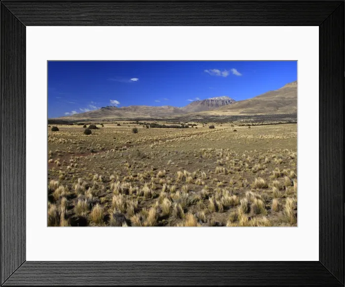 Framed Print : Magallanes Peninsula - Patagonia - Argentina Framed Print : Magallanes Peninsula - Patagonia - Argentina