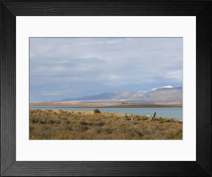Framed Print : Magallanes Peninsula - Patagonia - Argentina Framed Print : Magallanes Peninsula - Patagonia - Argentina
