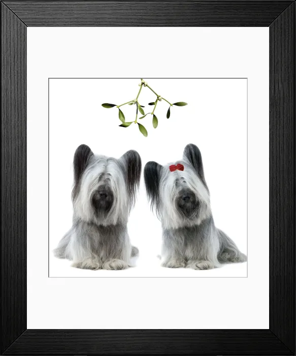 Framed Print : Dog - Sky Terrier pair under mistletoe LA-2829 & LA-3619 Framed Print : Dog - Sky Terrier pair under mistletoe LA-2829 & LA-3619