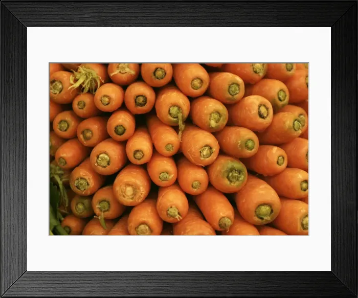 Framed Print : Carrots. LA-1015. Carrots. Jean Michel Labat Framed Print : Carrots. LA-1015. Carrots. Jean Michel Labat