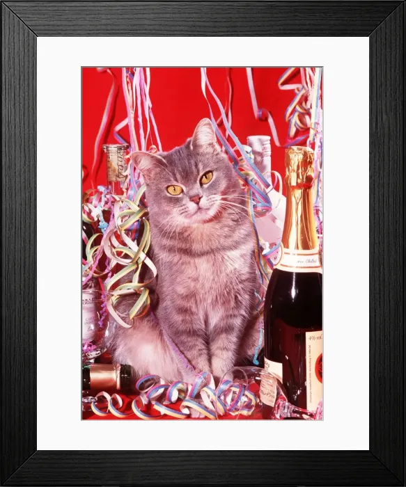 Framed Print : CAT AT A PARTY - STREAMERS Framed Print : CAT AT A PARTY - STREAMERS