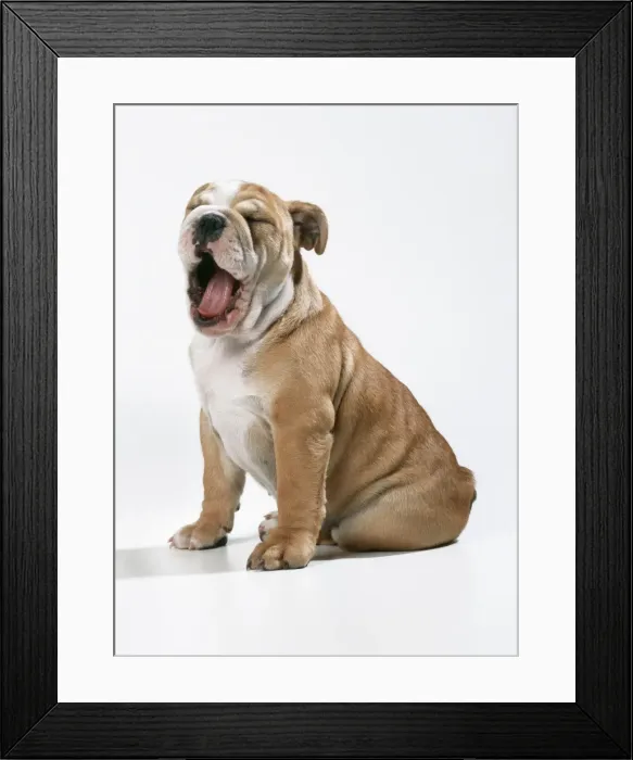 Framed Print : JD 16598-C Framed Print : JD 16598-C