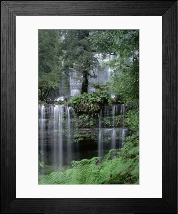 Framed Print : Russell Falls - Mount Field National Park, Tasmania, Australia Framed Print : Russell Falls - Mount Field National Park, Tasmania, Australia